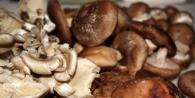 Жареные белые грибы на зиму